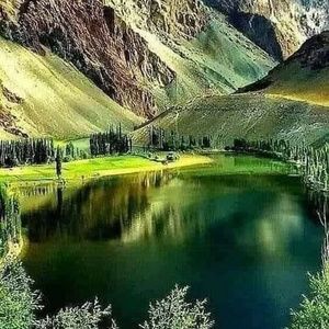 Meet your Posher, Tom